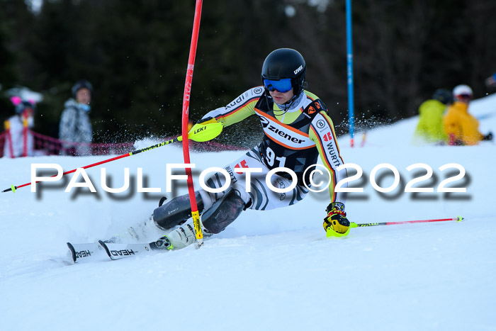 FIS Slalom Damen + Herren, ATA, 16.01.2022