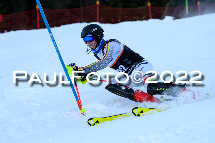 FIS Slalom Damen + Herren, ATA, 16.01.2022