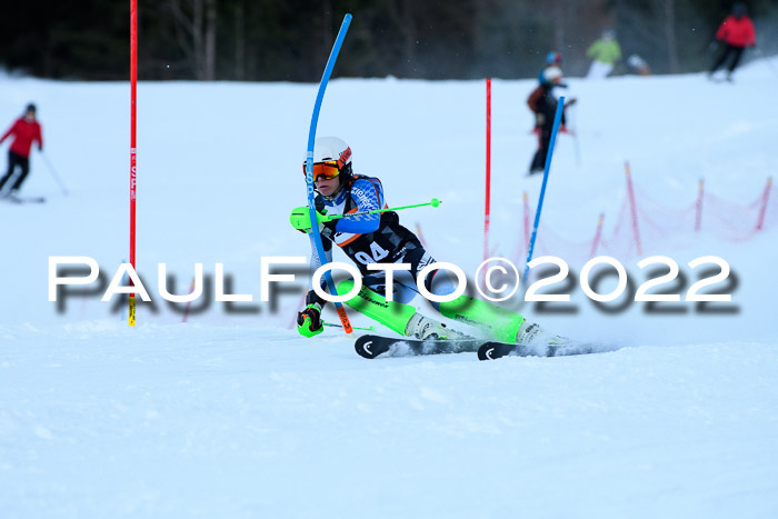 FIS Slalom Damen + Herren, ATA, 16.01.2022