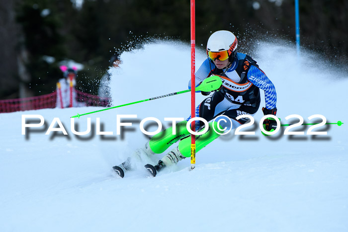 FIS Slalom Damen + Herren, ATA, 16.01.2022