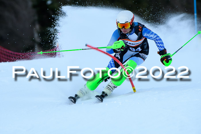 FIS Slalom Damen + Herren, ATA, 16.01.2022