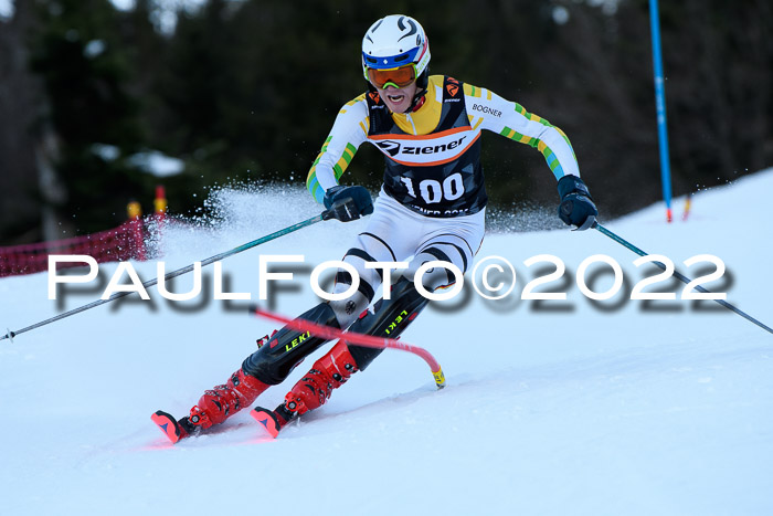 FIS Slalom Damen + Herren, ATA, 16.01.2022