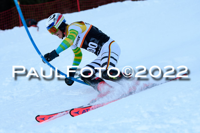 FIS Slalom Damen + Herren, ATA, 16.01.2022