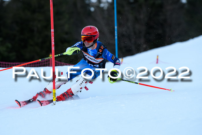 FIS Slalom Damen + Herren, ATA, 16.01.2022