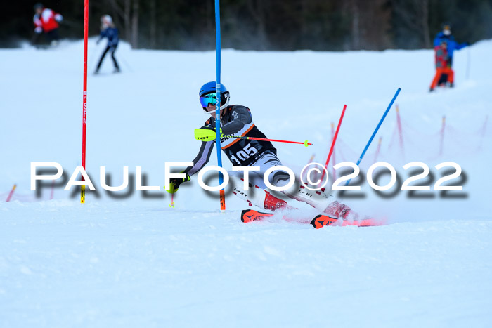 FIS Slalom Damen + Herren, ATA, 16.01.2022