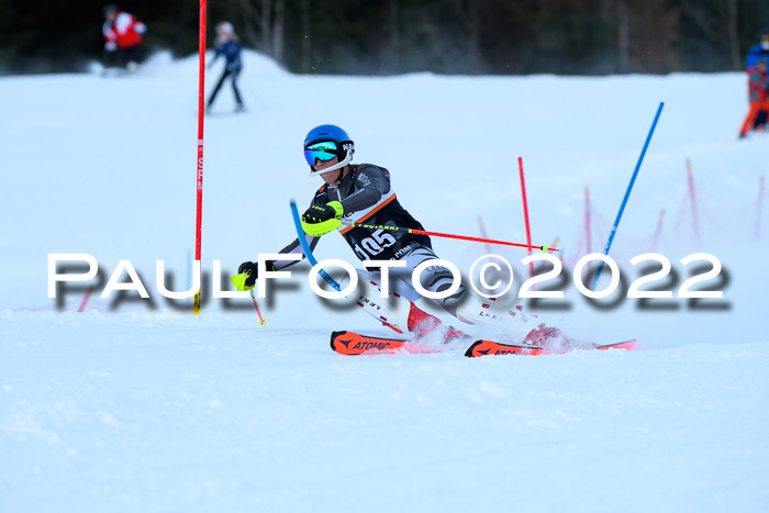 FIS Slalom Damen + Herren, ATA, 16.01.2022