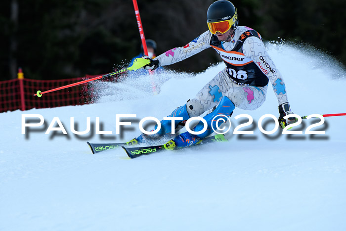 FIS Slalom Damen + Herren, ATA, 16.01.2022