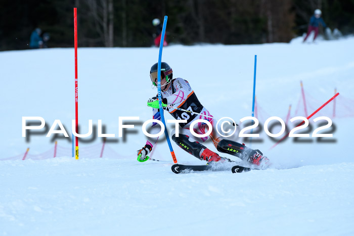 FIS Slalom Damen + Herren, ATA, 16.01.2022