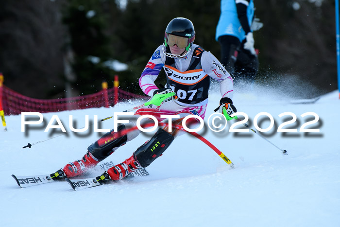 FIS Slalom Damen + Herren, ATA, 16.01.2022