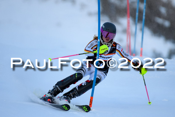 FIS Slalom Damen + Herren, ATA, 16.01.2022