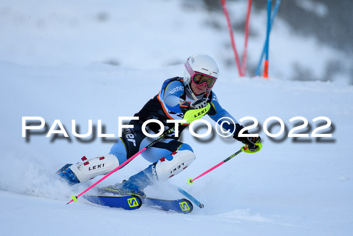 FIS Slalom Damen + Herren, ATA, 16.01.2022