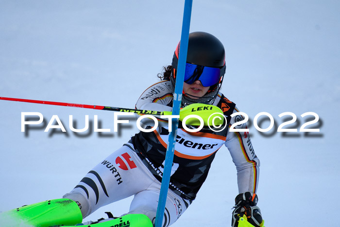 FIS Slalom Damen + Herren, ATA, 16.01.2022