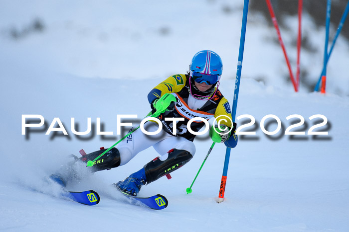 FIS Slalom Damen + Herren, ATA, 16.01.2022