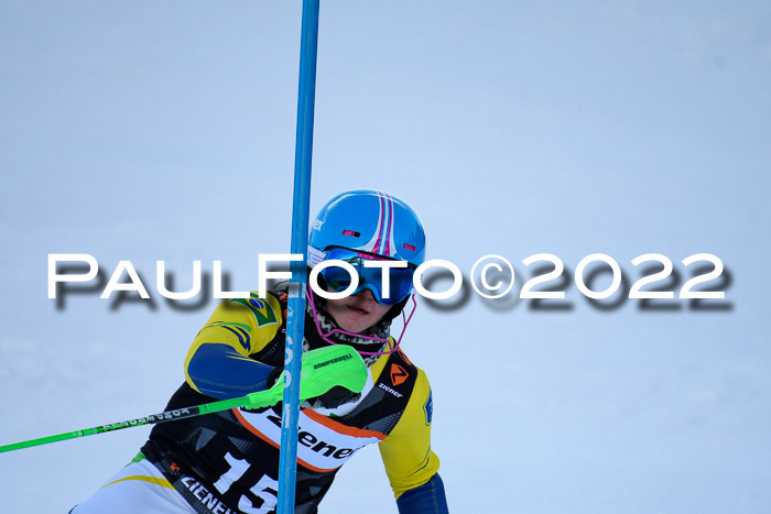 FIS Slalom Damen + Herren, ATA, 16.01.2022