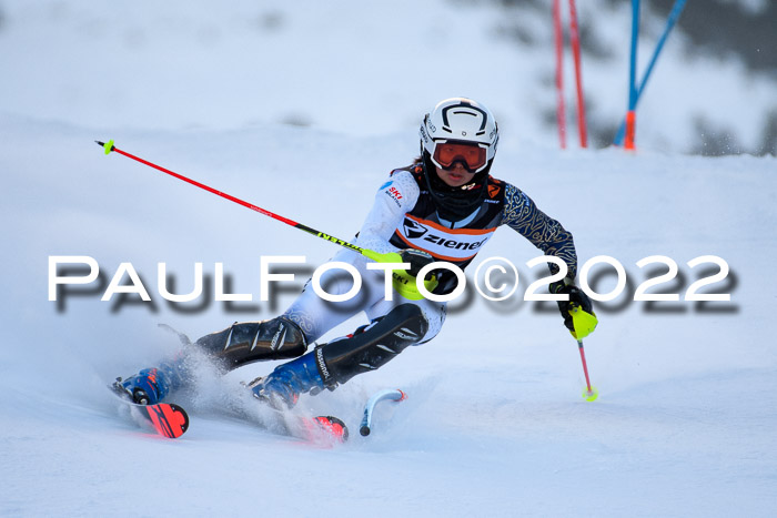 FIS Slalom Damen + Herren, ATA, 16.01.2022