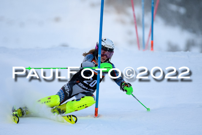 FIS Slalom Damen + Herren, ATA, 16.01.2022