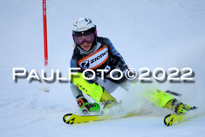 FIS Slalom Damen + Herren, ATA, 16.01.2022