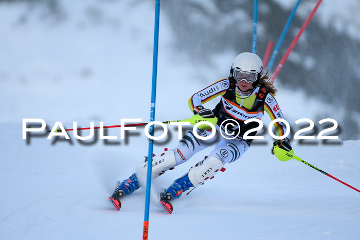 FIS Slalom Damen + Herren, ATA, 16.01.2022