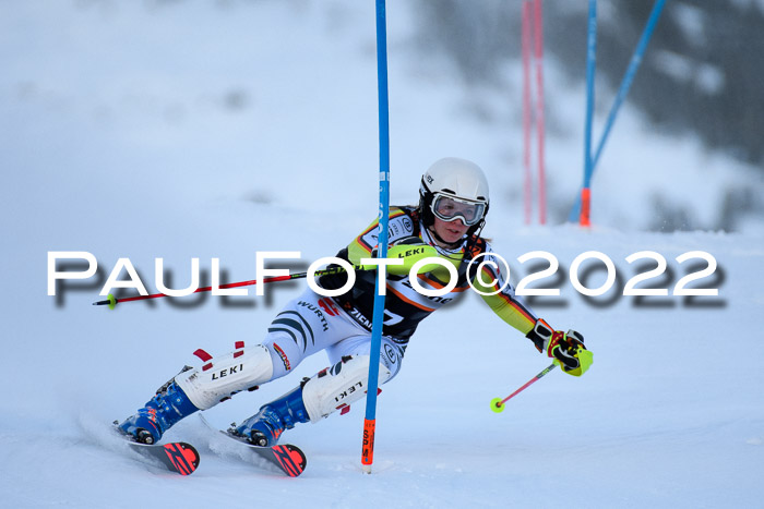 FIS Slalom Damen + Herren, ATA, 16.01.2022