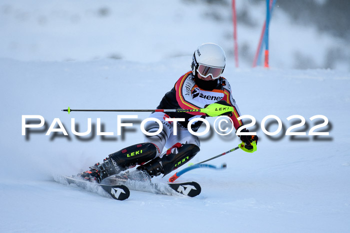 FIS Slalom Damen + Herren, ATA, 16.01.2022