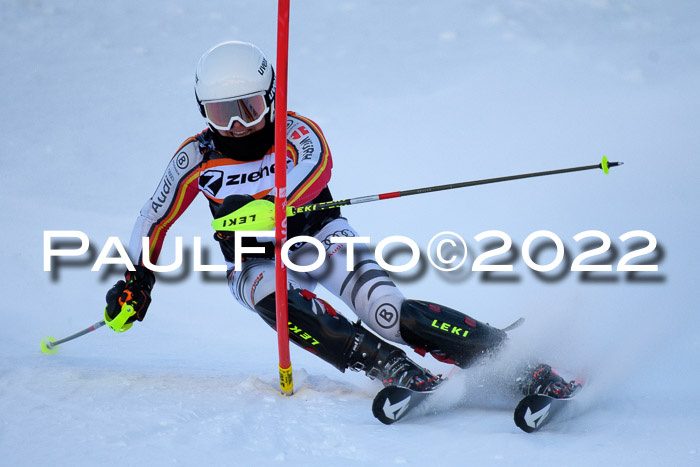 FIS Slalom Damen + Herren, ATA, 16.01.2022