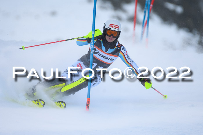 FIS Slalom Damen + Herren, ATA, 16.01.2022