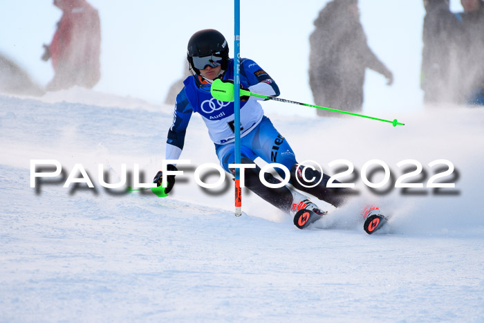 FIS Slalom Damen + Herren, ATA, 16.01.2022