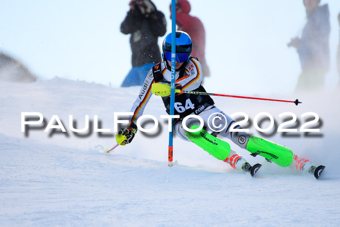 FIS Slalom Damen + Herren, ATA, 16.01.2022