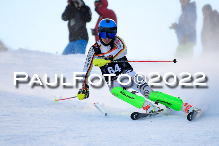 FIS Slalom Damen + Herren, ATA, 16.01.2022