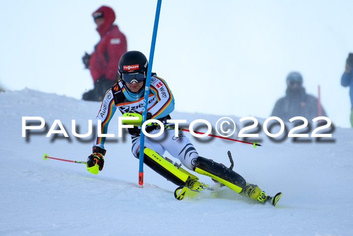 FIS Slalom Damen + Herren, ATA, 16.01.2022