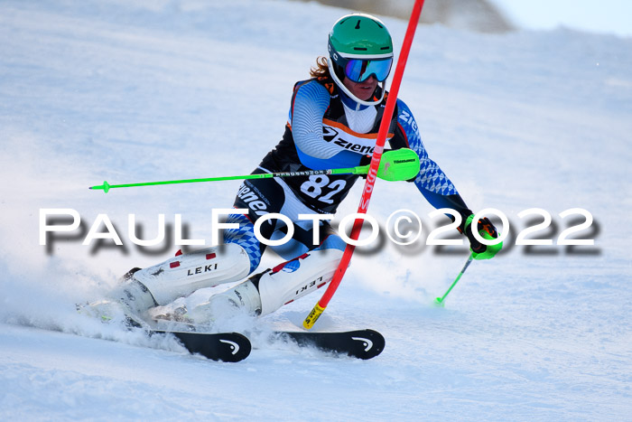 FIS Slalom Damen + Herren, ATA, 16.01.2022