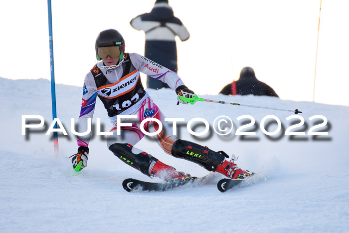 FIS Slalom Damen + Herren, ATA, 16.01.2022