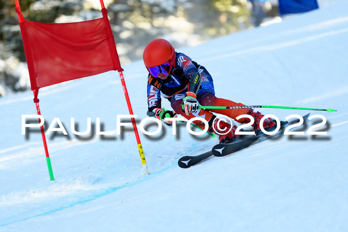 BSV Ziener Kids Cross Rennen 1 Region 3  U12 + ASV Reischmann Cup U12