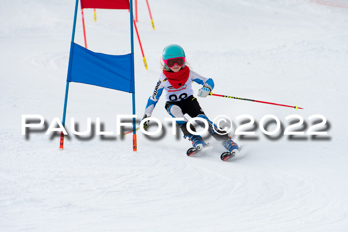 DSV Skitty Cup Sudelfeld 06.02.2022