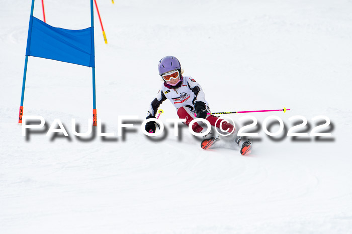 DSV Skitty Cup Sudelfeld 06.02.2022