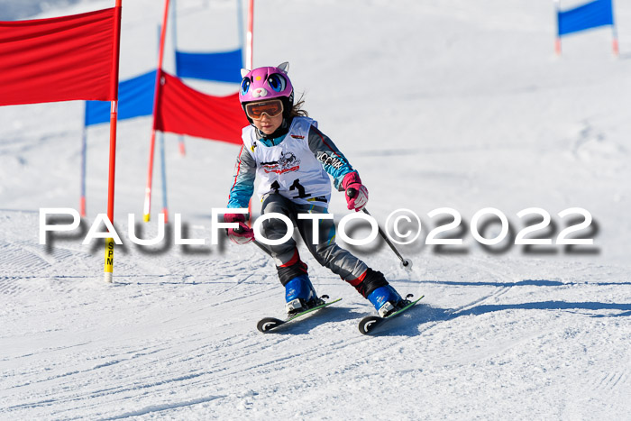 5. DSV Skitty Cup Alpin, 13.02.2022