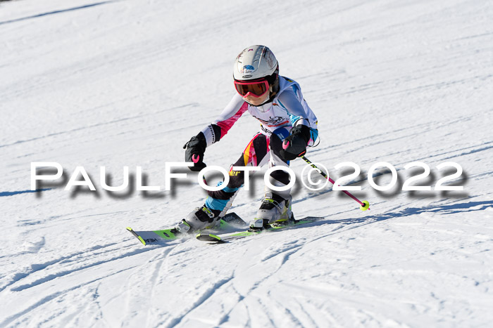 5. DSV Skitty Cup Alpin, 13.02.2022