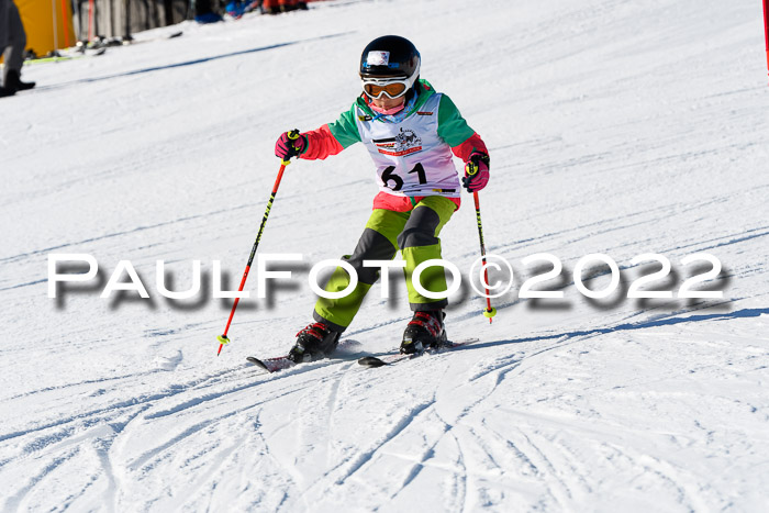 5. DSV Skitty Cup Alpin, 13.02.2022