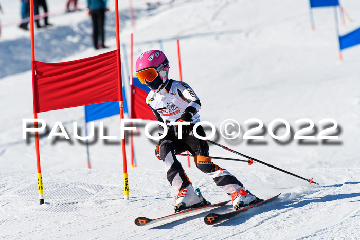 5. DSV Skitty Cup Alpin, 13.02.2022