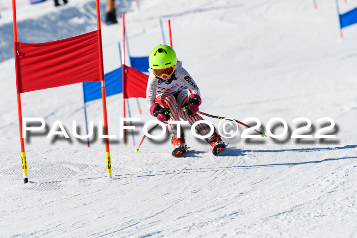 5. DSV Skitty Cup Alpin, 13.02.2022