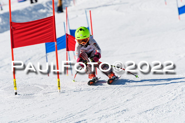 5. DSV Skitty Cup Alpin, 13.02.2022