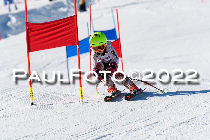 5. DSV Skitty Cup Alpin, 13.02.2022