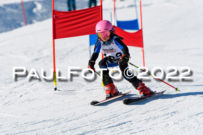 5. DSV Skitty Cup Alpin, 13.02.2022