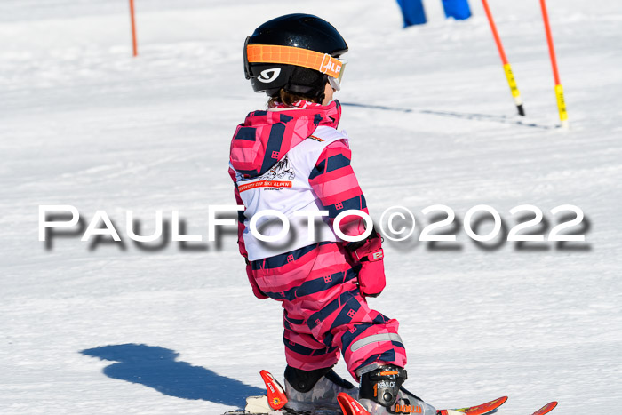 5. DSV Skitty Cup Alpin, 13.02.2022