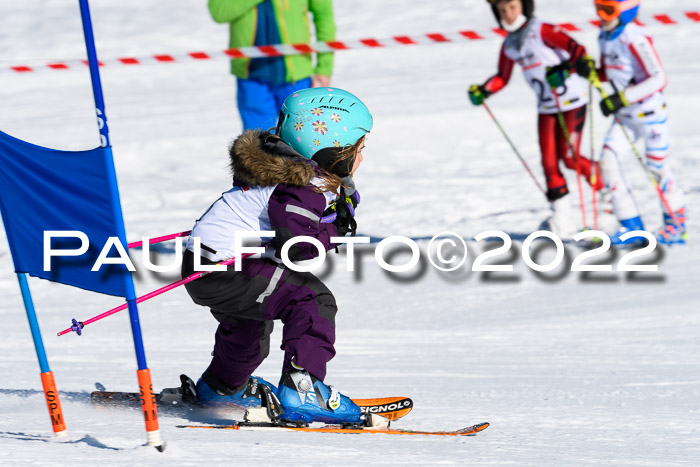 5. DSV Skitty Cup Alpin, 13.02.2022