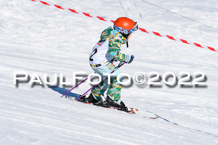 5. DSV Skitty Cup Alpin, 13.02.2022