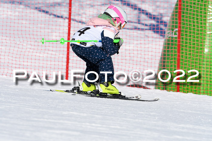 5. DSV Skitty Cup Alpin, 13.02.2022