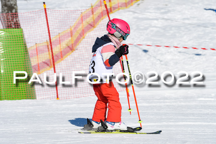 5. DSV Skitty Cup Alpin, 13.02.2022