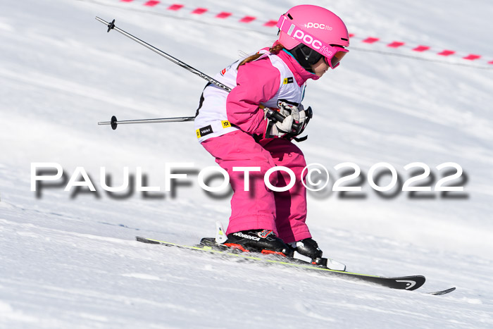 5. DSV Skitty Cup Alpin, 13.02.2022