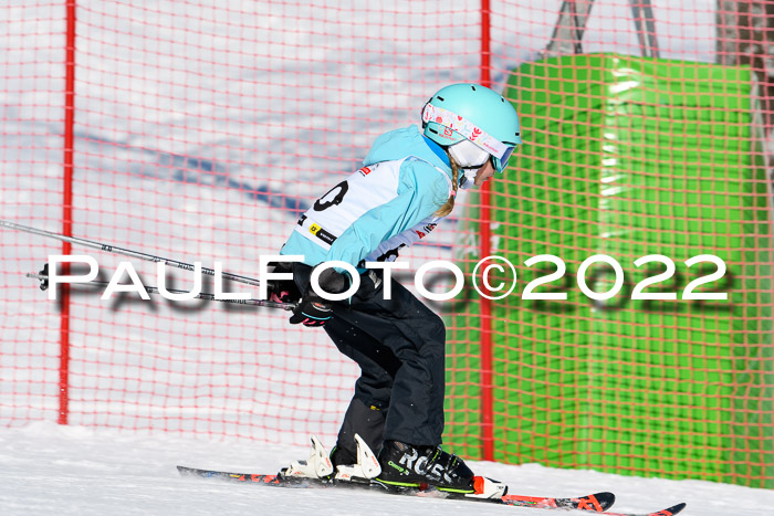 5. DSV Skitty Cup Alpin, 13.02.2022